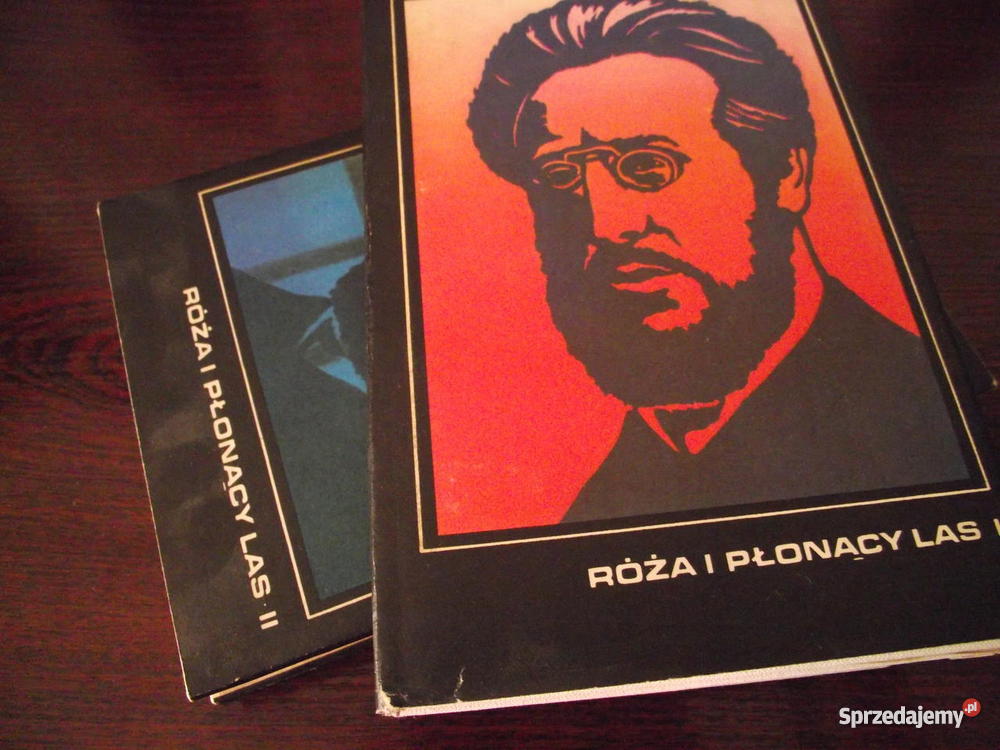 RÓŻA I PŁONĄCY LAS Tadeusz Hołuj Rogoźno