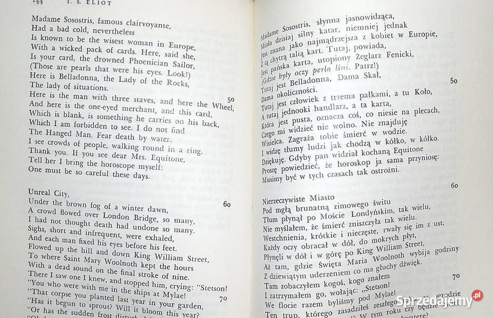 L Mayewski Czas niepokoju Antologia poezji