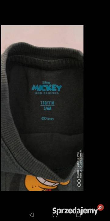 Bluzka dziecka Moszczenica