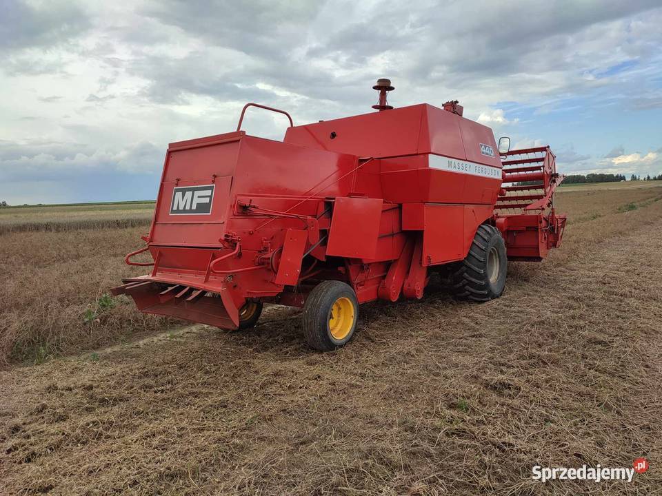 Massey Ferguson 440 nieuszkodzony