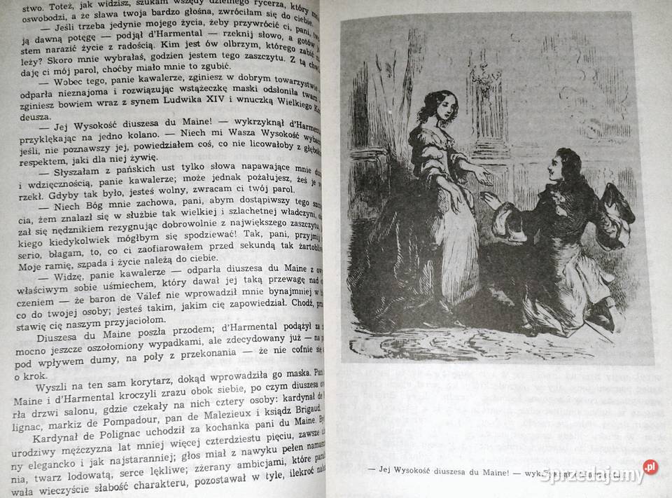 Kawaler dHarmental Aleksander Dumas Chełm sprzedam