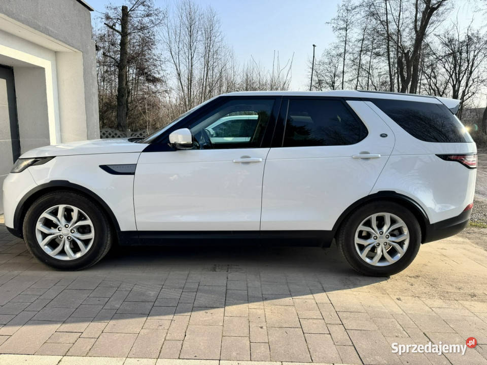 Land Rover Discovery NOWY DISCOVERY Pneumatyczne lubuskie Sulechów