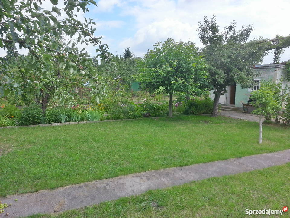 Działka rekreacyjna ogródek działkowy Wrocław Wrocław