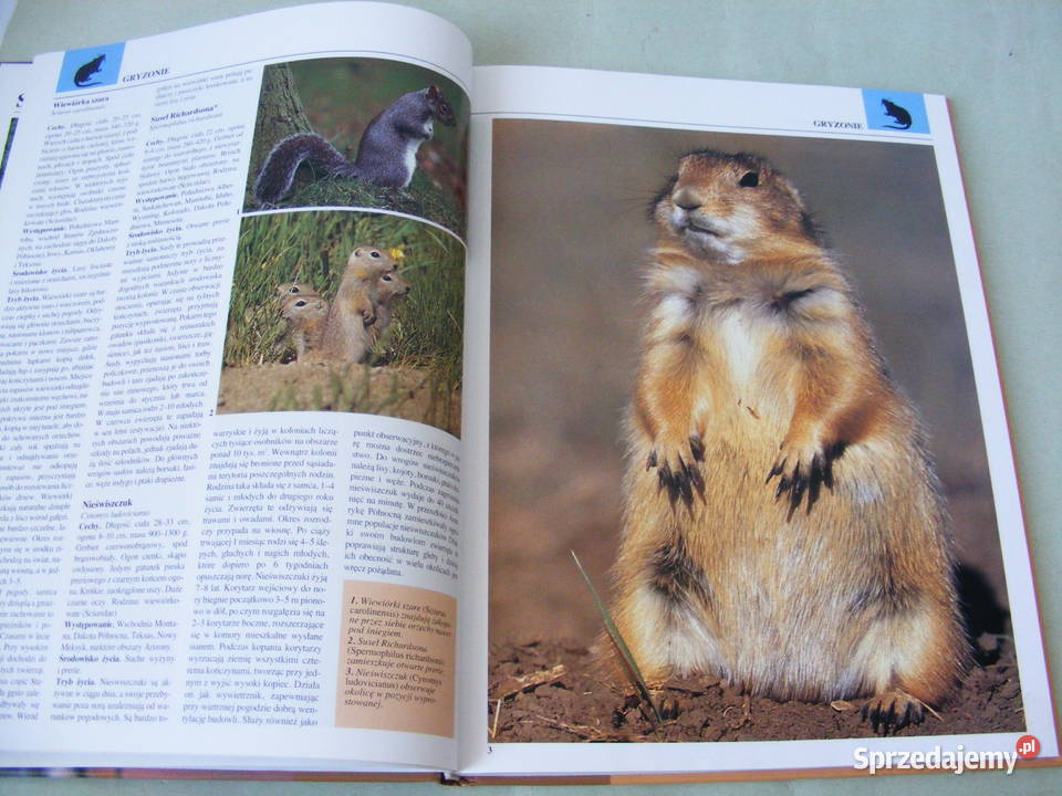 Gady i płazy Album Puchalski Ssaki Leksykon Poradniki, albumy i reportaże dolnośląskie Oborniki Śląskie