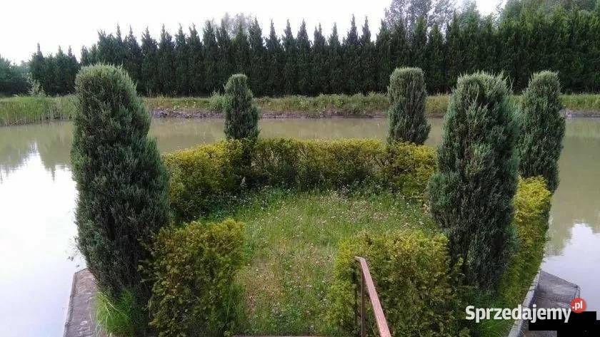 Sprzedam dom 120m2 w pięknej okolicy w pobliżu świętokrzyskie Chotel Czerwony