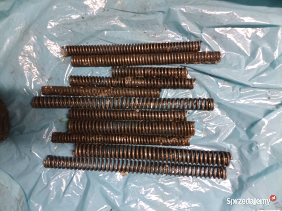 Sprężyna sprężyny przednich lag zawieszenia Koszalin sprzedam