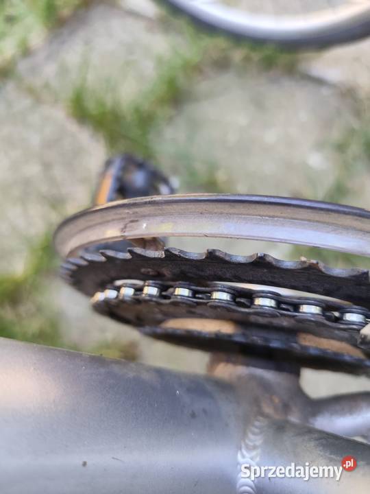 Fajny rower meski trekingowy sprzedam Rowery i akcesoria wielkopolskie Zaborowice