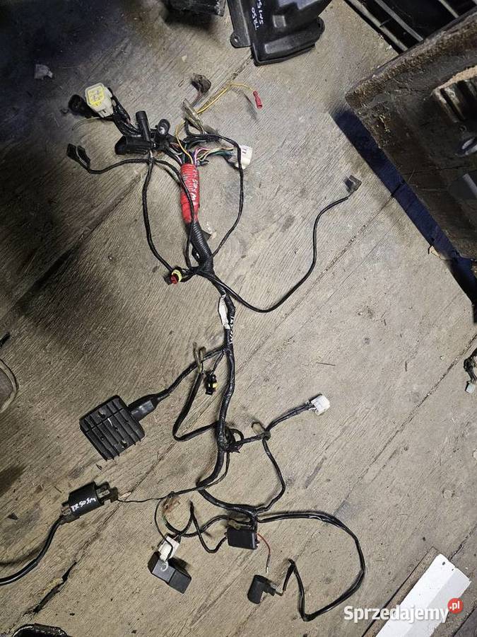 Generic trigger tr 50 SM instalacja elektryczna dolnośląskie Jelenia Góra