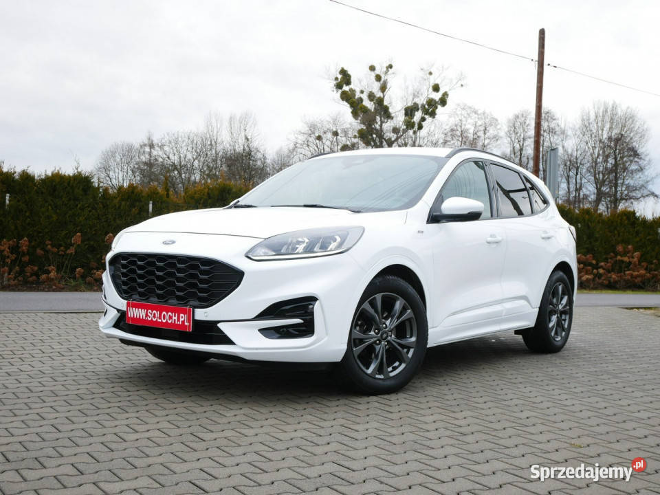 Ford Kuga 15 EcoBlue 120 Eu6 StLine Automat 8b nawigacja Goczałkowice-Zdrój