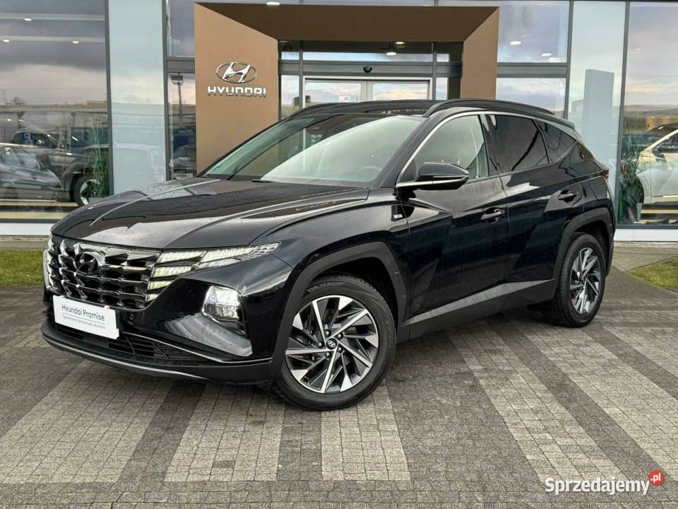 Salon Polska Autoryzowany dealer Faktura VAT 150KM Kalisz