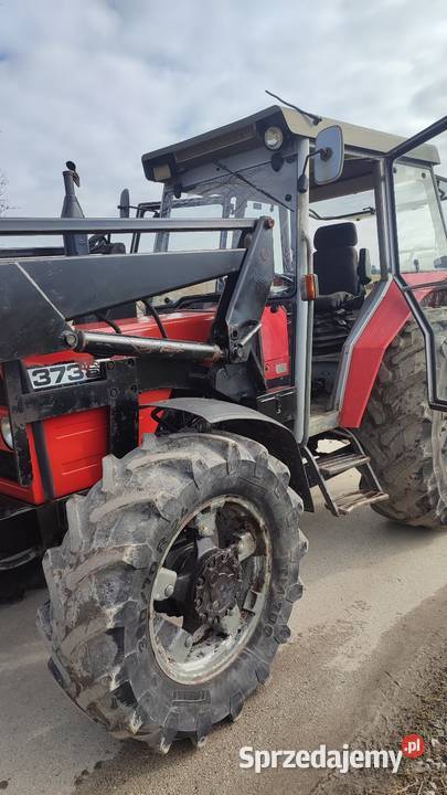 Massey Ferguson 373 oryginał Węchadłów