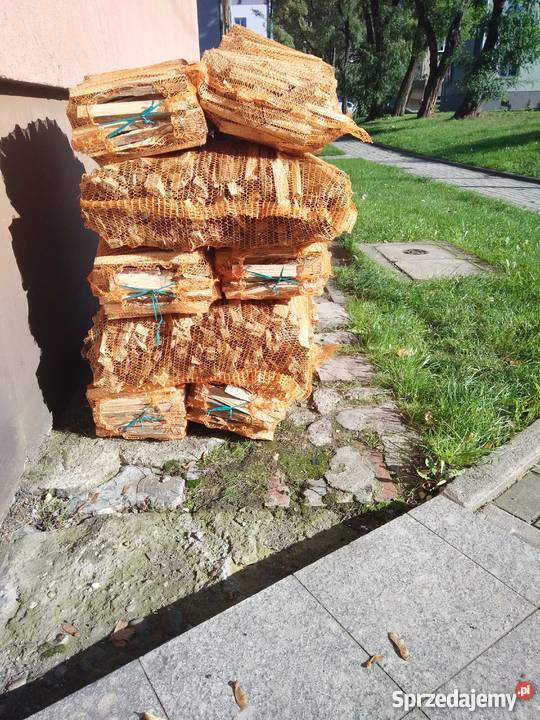 Drzewo rozpałkowe podpałka sosna Zabrze