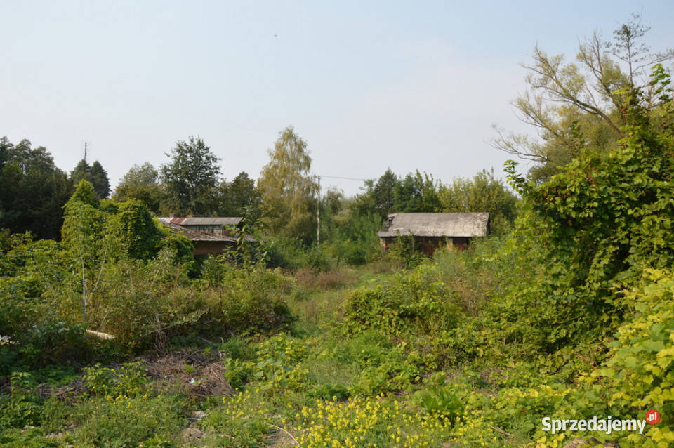 Działka budowlana Urzędów centrum 25 a