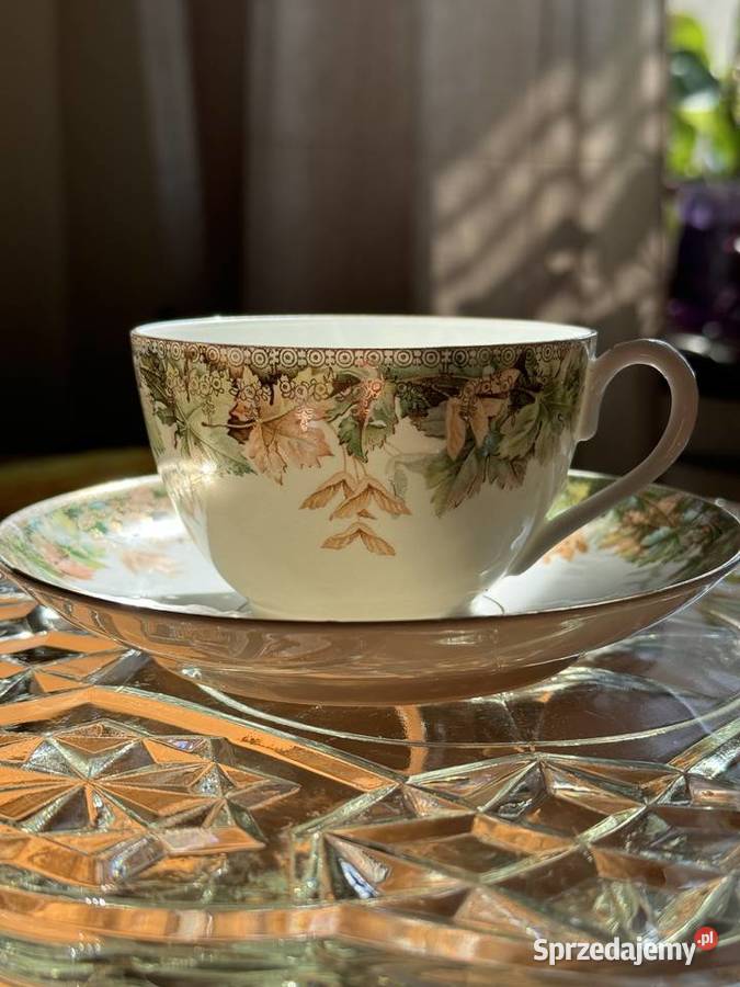 Filiżanka CT Altwasser