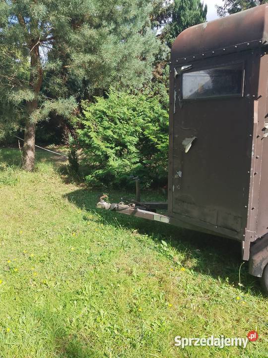 Przyczepa do koni bydła nieuszkodzony Zgierz sprzedam