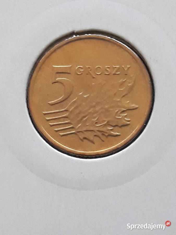 5 Groszy 1993 r Menniczez rolki Konin