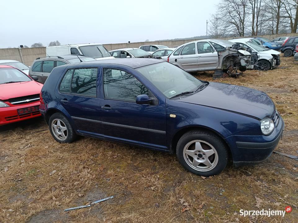 Volkswagen Golf IV 14 55 kW 1999 r dawca części Rok produkcji 1999 wielkopolskie Szklarka Myślniewska