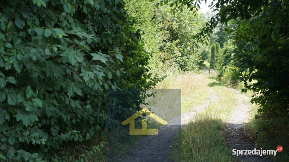 Działka gruntowa w Otwocku Wielkim pałacem Otwock Wielki