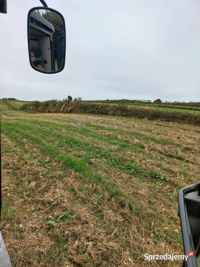 Usługi koparko ładowarka Nowy Dwór usługi budowlane