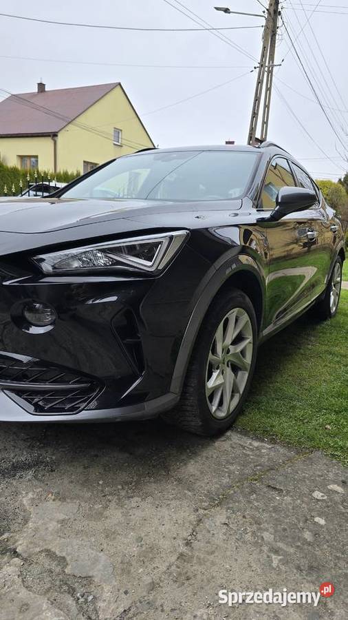 Cupra Formentor Formentor