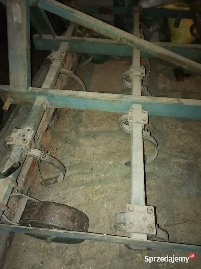 Sprężynówka Jelnia