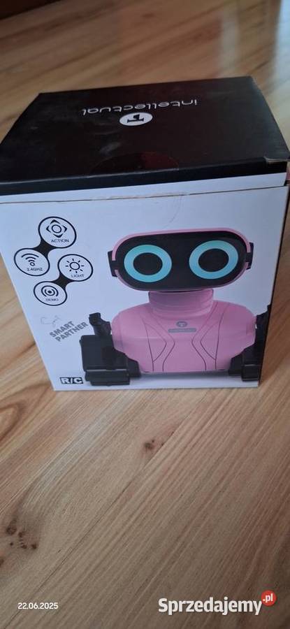 Robot interaktywny dolnośląskie Goliszów