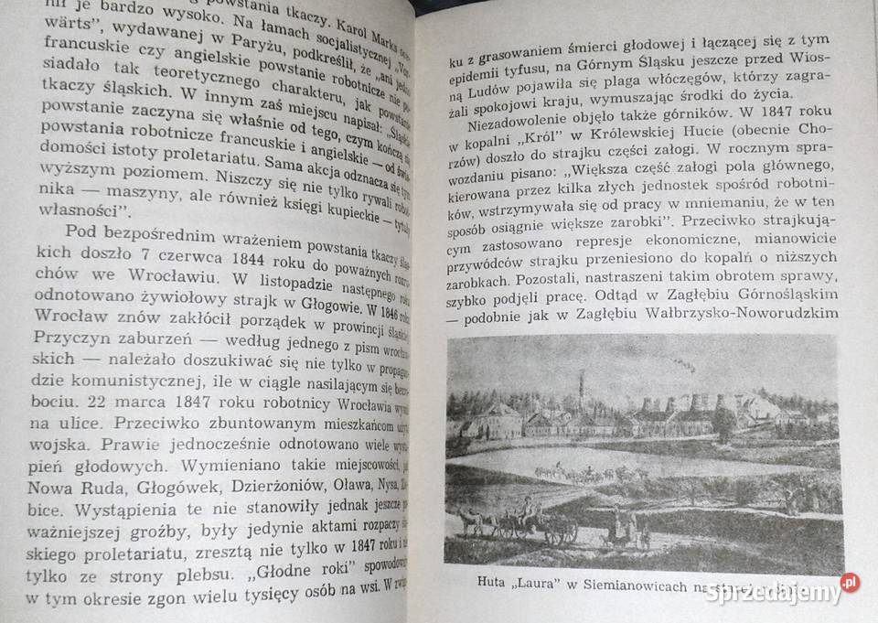 Rozbrzęczały się szabliska ciężkie Stanisław miękka Pozostałe Chełm sprzedam