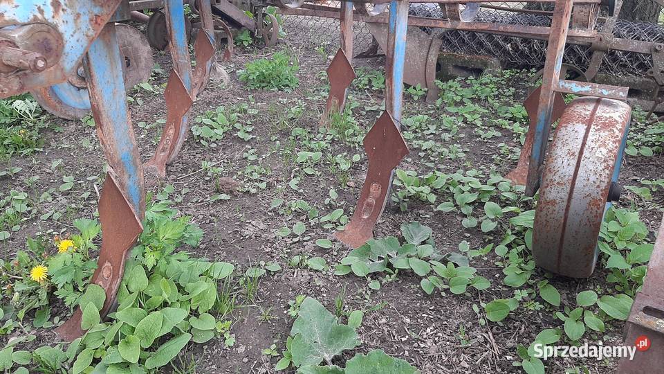 Gruber 7 łap Lemken Achat 70 Do Ursusa C360 Mf Dłutów sprzedam