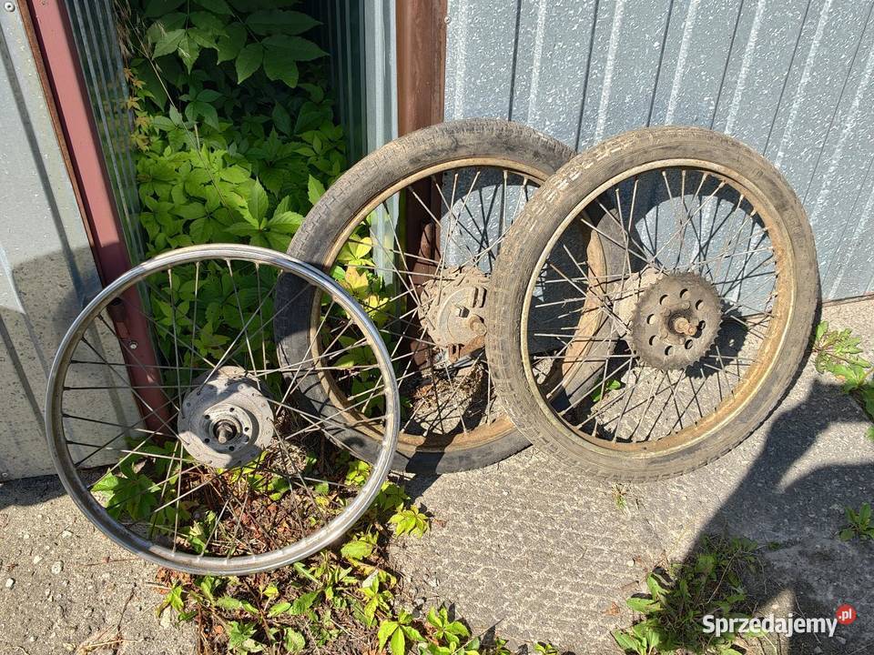 Komar Sztywniak Cześci Suchedniów sprzedam
