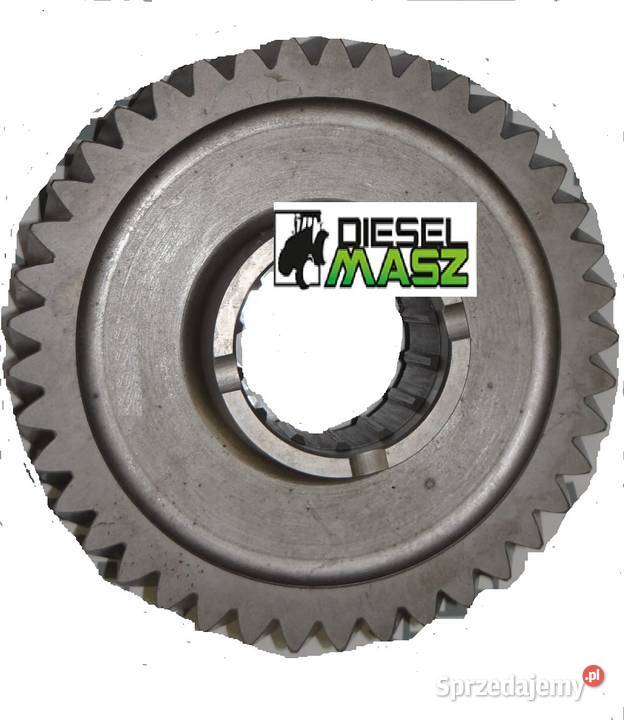 3385852M1 KOŁO ZĘBATE 1 BIEGU Z41 MASSEY Zbuczyn