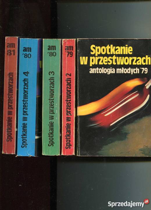 Spotkanie w przestworzach T15 Antologia młodych Szczecin