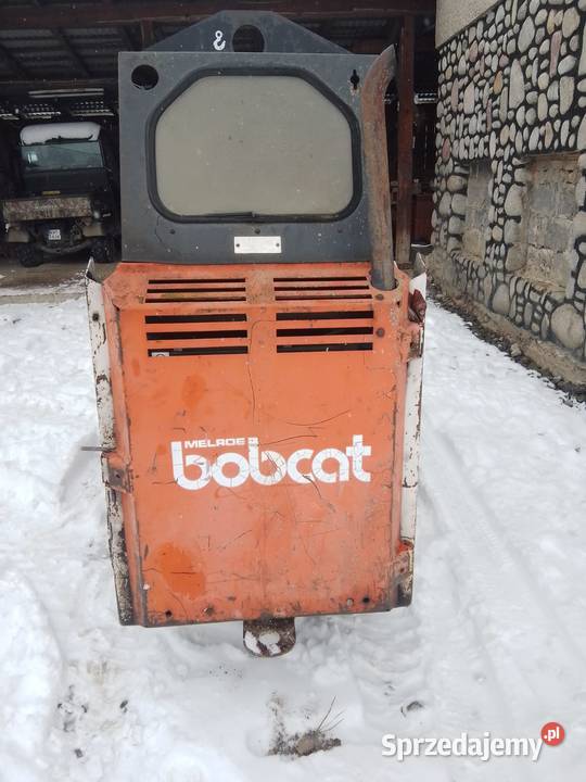 Bobcat443