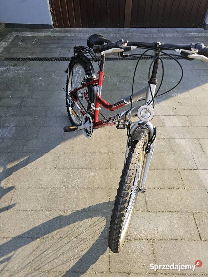 Rower Carina Rayon z niską ramą koła 24