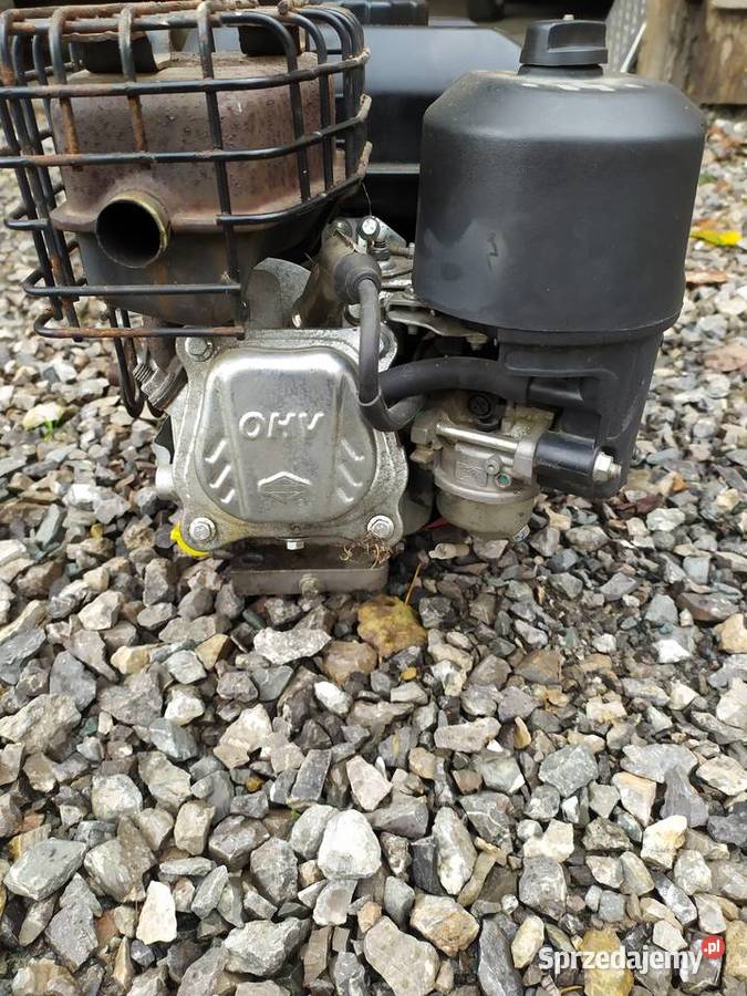 Silnik BriggsStratton 550 series 127cc boczny Narzędzia ogrodnicze lubelskie Stare Wierzchowiska