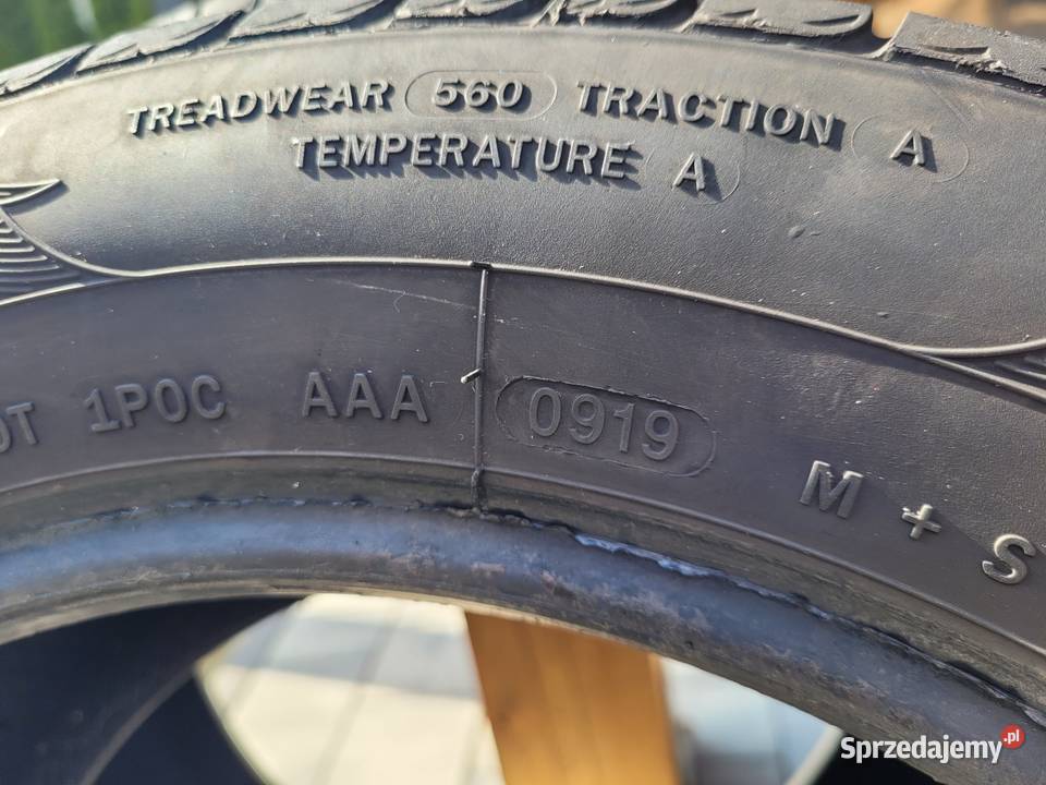 Opony letnie Powertrac 205 55 R16 2 55 Roczyny