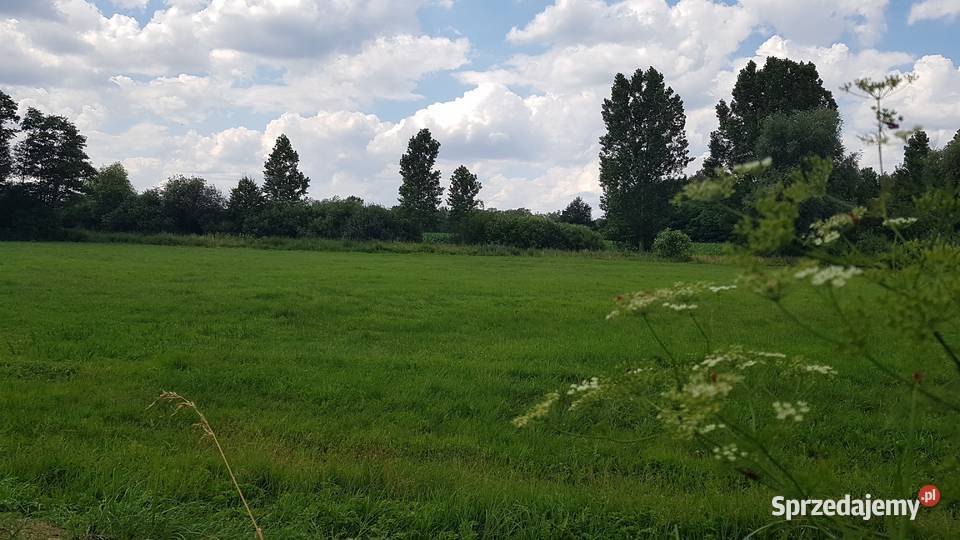 Działka z planem energia i natura czego chcesz Poddębice sprzedam