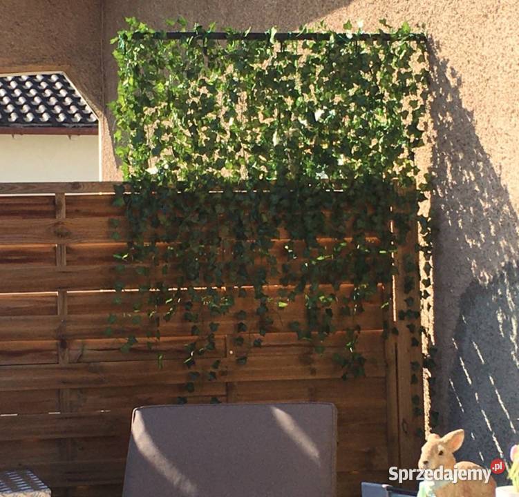 Sztuczny bluszcz 50 m na ścianę balkon taras Poznań