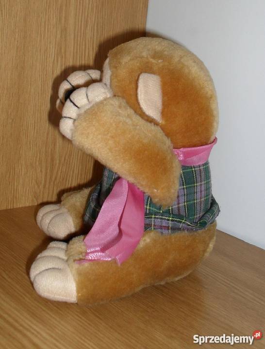 ŚLICZNA PLUSZOWA MAŁPKA łódzkie Łódź