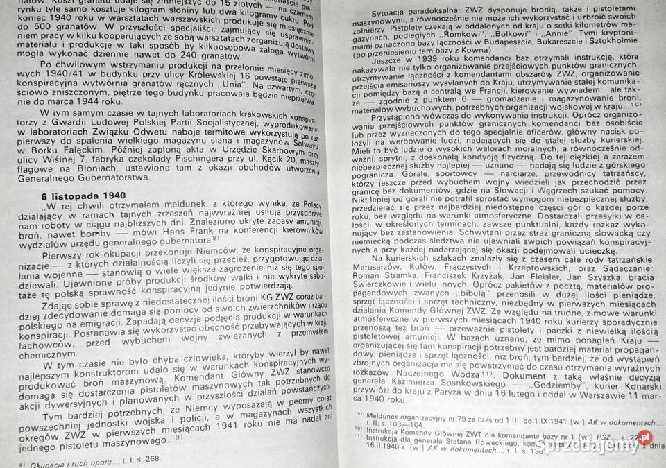 Steny biją celnie Stanisław Maria Jankowski lubelskie Chełm