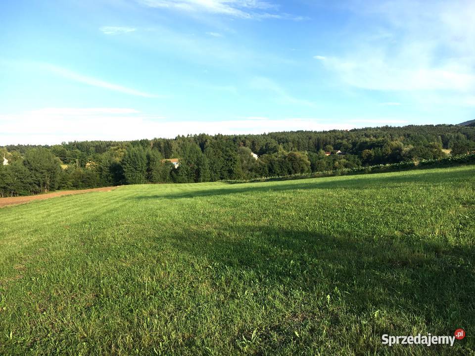 Działka budowlana 12 ar Beskid Wyspowy Kierlikówka sprzedam