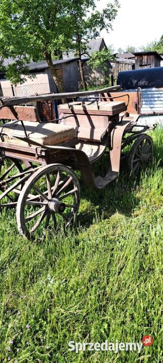 Bryczka konna Pozostałe Czermno sprzedam
