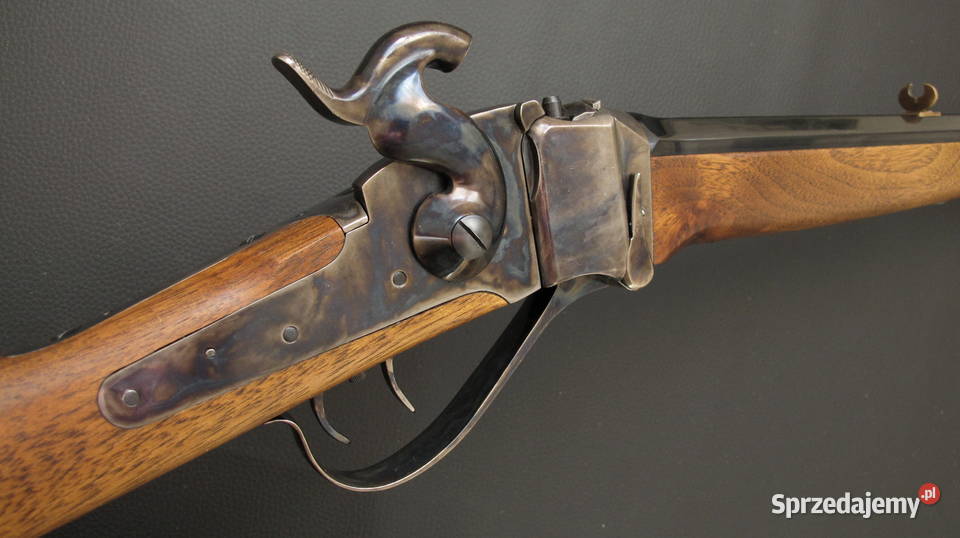 Sharps Armi Sport kal 54 Chojnice