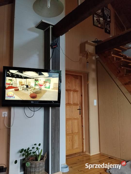 mam pokój do wynajęcia na Opener Festival Wynajem Gdynia