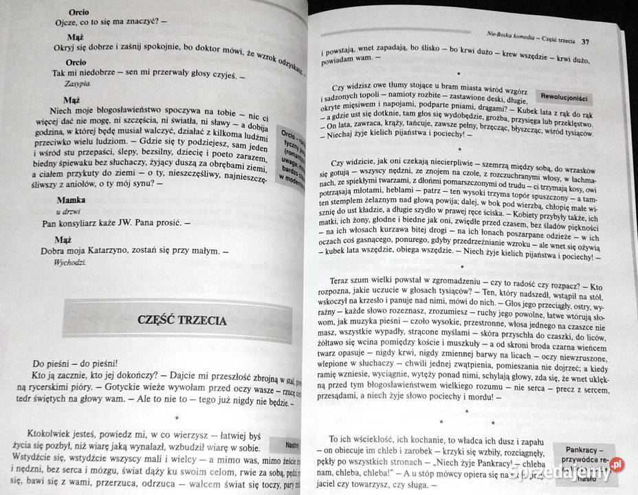 NieBoska komedia Lektura z opracowaniem Zygmunt Chełm