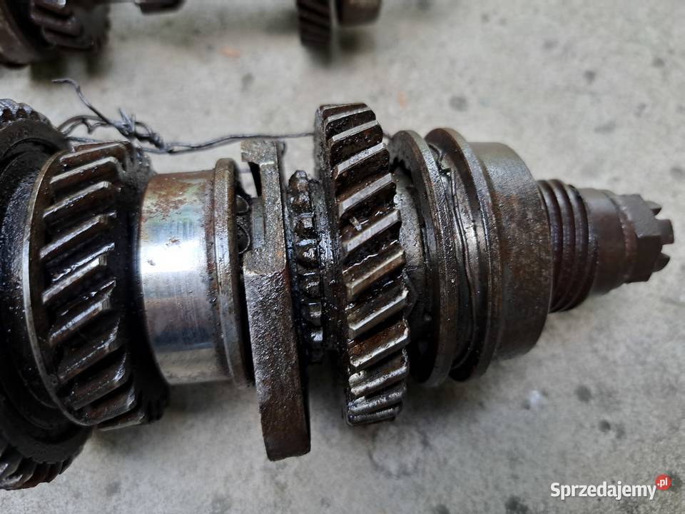 Wałek główny choinka skrzynia biegów Skoda Leszno