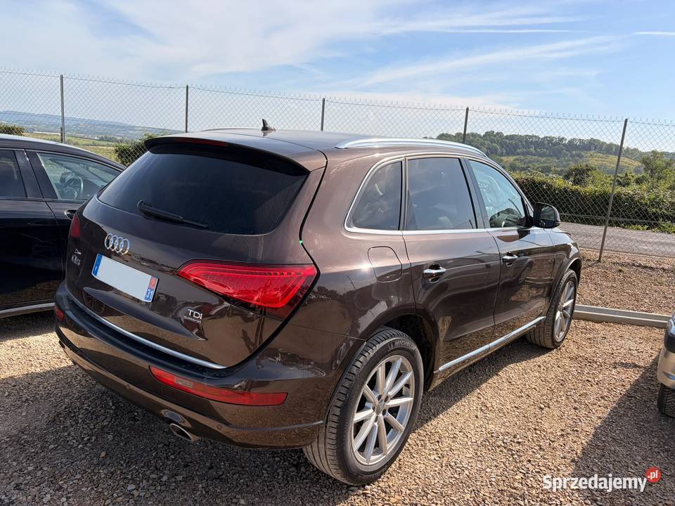 AUDI Q5 Quattro 30 V6 TDi 258 Avus STronic EG998 4/5 Przemyśl