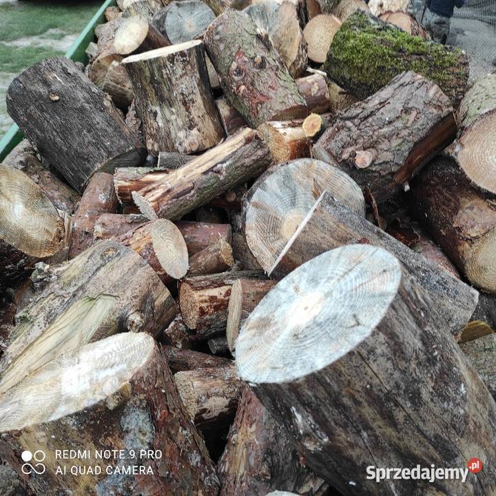 Drzewo opałowe Tarnawatka