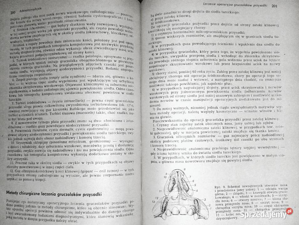 Endokrynologia kliniczna Tom 1 Walenty Hartwig Książki i Podręczniki Chełm