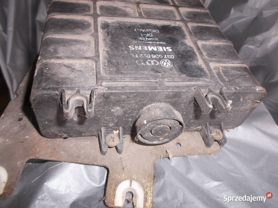 AUDI VW T4 PASSAT GOLF SEAT SIEMENS 037 906 022 dolnośląskie