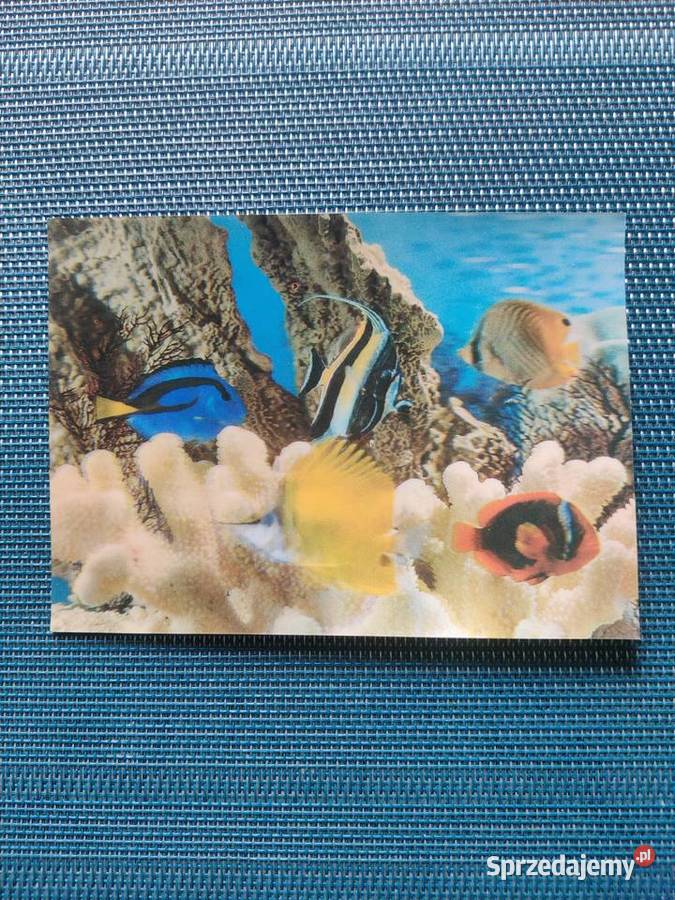 Pocztówki trójwymiarowe 3 sztuki Pocztówki i karty telefoniczne sprzedam